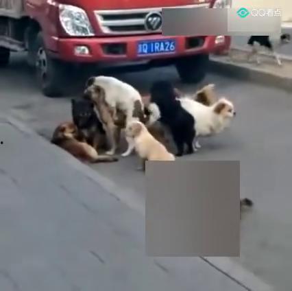 黑哥爆料最新,娱乐圈最新爆料大起底！